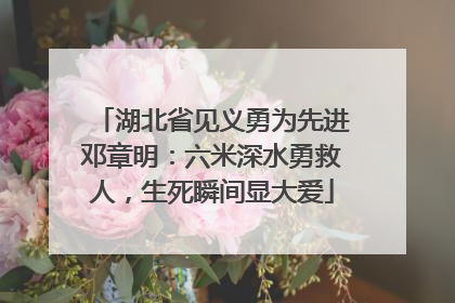 湖北省见义勇为先进邓章明：六米深水勇救人，生死瞬间显大爱