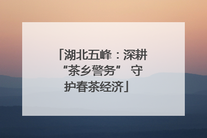 湖北五峰：深耕“茶乡警务” 守护春茶经济