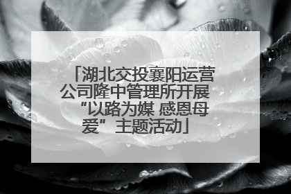 湖北交投襄阳运营公司隆中管理所开展“以路为媒 感恩母爱”主题活动