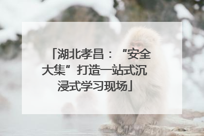 湖北孝昌：“安全大集”打造一站式沉浸式学习现场