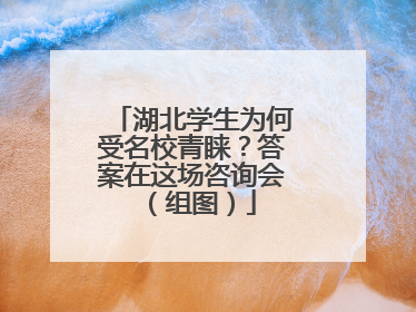 湖北学生为何受名校青睐？答案在这场咨询会（组图）