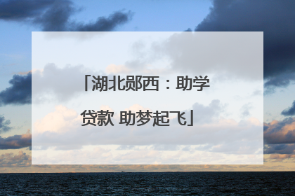 湖北郧西：助学贷款 助梦起飞