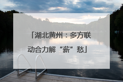 湖北黄州：多方联动合力解“薪”愁