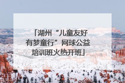 湖州“儿童友好 有梦童行”网球公益培训班火热开班