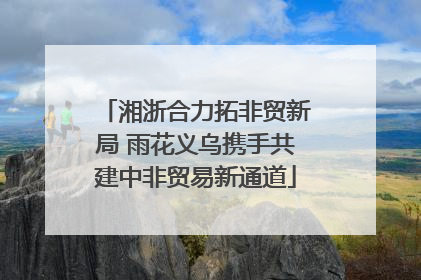 湘浙合力拓非贸新局 雨花义乌携手共建中非贸易新通道