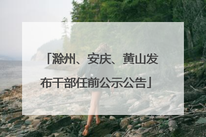 滁州、安庆、黄山发布干部任前公示公告