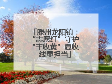 滕州龙阳镇：“志愿红”守护“丰收黄”夏收一线显担当