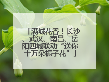 满城花香！长沙、武汉、南昌、岳阳四城联动“送你十万朵栀子花”
