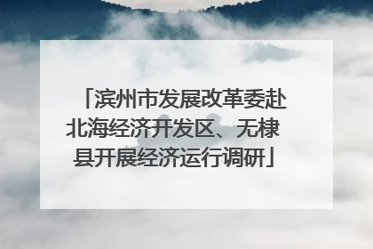 滨州市发展改革委赴北海经济开发区、无棣县开展经济运行调研