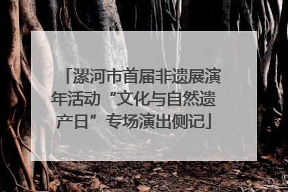 漯河市首届非遗展演年活动“文化与自然遗产日”专场演出侧记