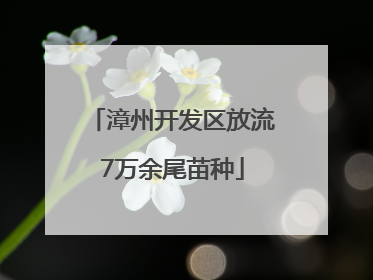漳州开发区放流7万余尾苗种
