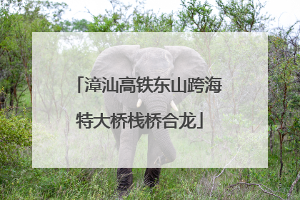 漳汕高铁东山跨海特大桥栈桥合龙