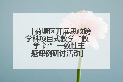 荷塘区开展思政跨学科项目式教学“教-学-评”一致性主题课例研讨活动