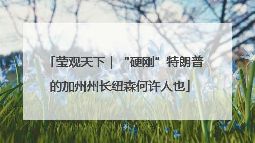 莹观天下｜“硬刚”特朗普的加州州长纽森何许人也