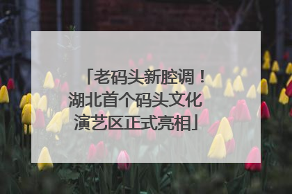 老码头新腔调！湖北首个码头文化演艺区正式亮相