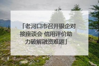 老河口市召开银企对接座谈会 信用评价助力破解融资难题