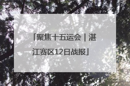 聚焦十五运会｜湛江赛区12日战报