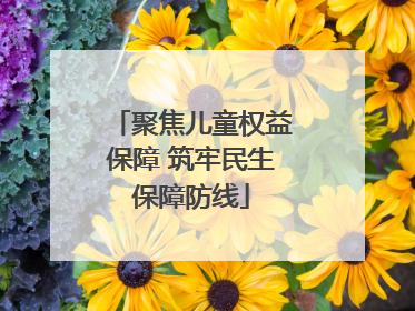 聚焦儿童权益保障 筑牢民生保障防线