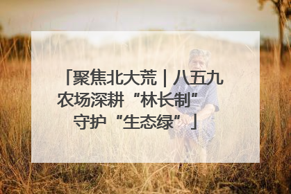 聚焦北大荒｜八五九农场深耕“林长制” 守护“生态绿”