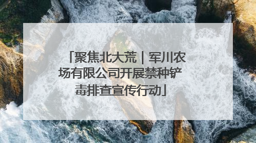 聚焦北大荒｜军川农场有限公司开展禁种铲毒排查宣传行动