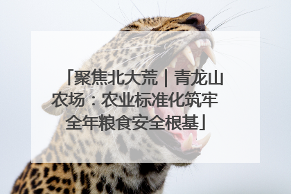 聚焦北大荒｜青龙山农场：农业标准化筑牢全年粮食安全根基