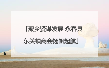 聚乡贤谋发展 永春县东关镇商会扬帆起航