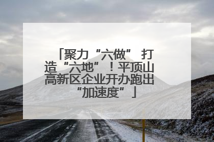 聚力“六做” 打造“六地”！平顶山高新区企业开办跑出“加速度”