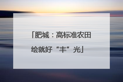 肥城：高标准农田绘就好“丰”光