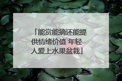 能赏能摘还能提供情绪价值 年轻人爱上水果盆栽