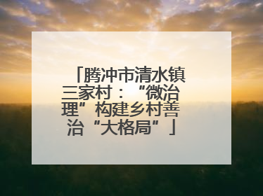 腾冲市清水镇三家村：“微治理”构建乡村善治“大格局”