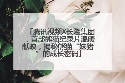 腾讯视频X长隆集团，首部熊猫纪录片温暖献映，揭秘熊猫“妹猪”的成长密码