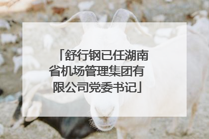 舒行钢已任湖南省机场管理集团有限公司党委书记
