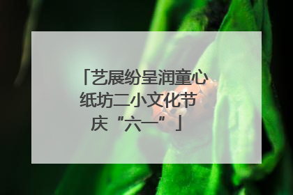 艺展纷呈润童心 纸坊二小文化节庆“六一”