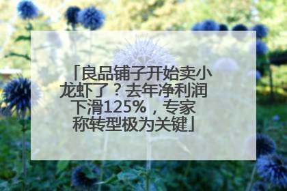 良品铺子开始卖小龙虾了？去年净利润下滑125%，专家称转型极为关键