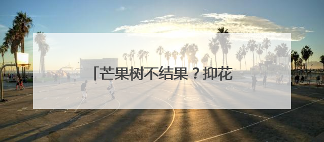 芒果树不结果？抑花控果减少落果危害