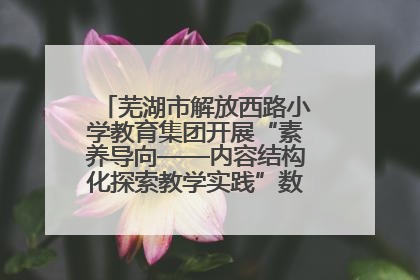 芜湖市解放西路小学教育集团开展“素养导向——内容结构化探索教学实践”数学专题研讨活动