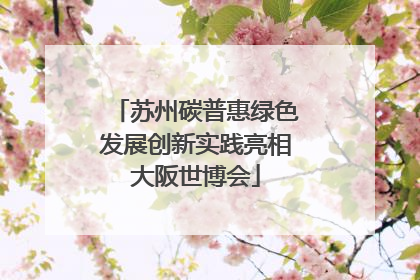 苏州碳普惠绿色发展创新实践亮相大阪世博会