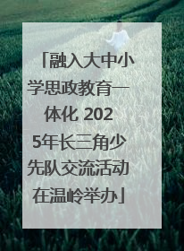 融入大中小学思政教育一体化 2025年长三角少先队交流活动在温岭举办