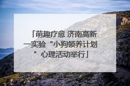 萌趣疗愈 济南高新一实验“小狗领养计划”心理活动举行