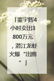 董宇辉4小时卖出3800万元，潜江龙虾火爆“出圈”
