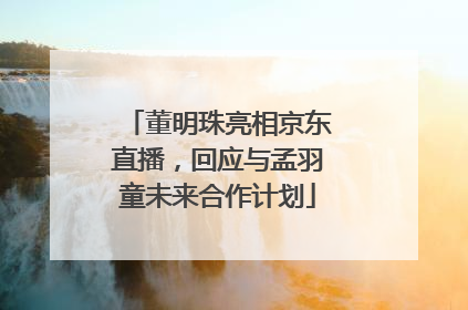 董明珠亮相京东直播，回应与孟羽童未来合作计划