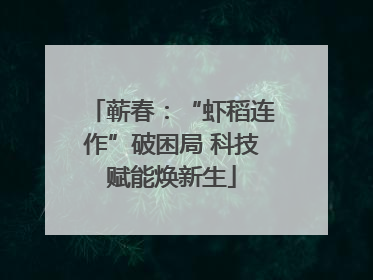 蕲春：“虾稻连作”破困局 科技赋能焕新生