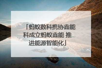 蚂蚁数科携协鑫能科成立蚂蚁鑫能 推进能源智能化