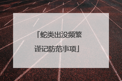 蛇类出没频繁 谨记防范事项