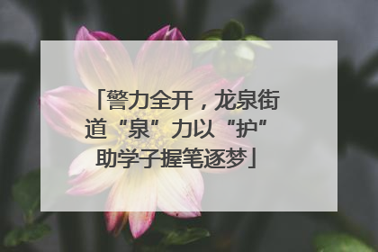 警力全开，龙泉街道“泉”力以“护”助学子握笔逐梦