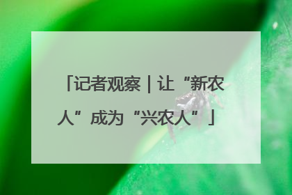 记者观察｜让“新农人”成为“兴农人”
