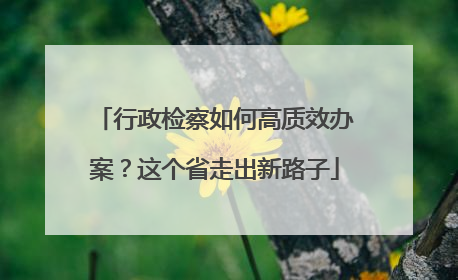 行政检察如何高质效办案？这个省走出新路子