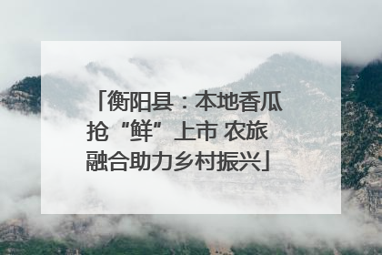 衡阳县：本地香瓜抢“鲜”上市 农旅融合助力乡村振兴