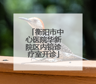 衡阳市中心医院华新院区内镜诊疗室开诊