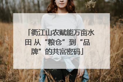 衢江山农赋能万亩水田 从“粮仓”到“品牌”的共富密码